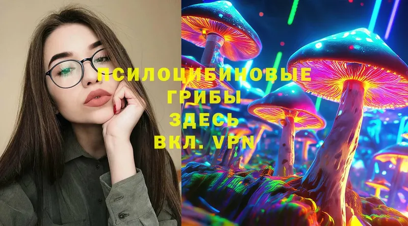 Галлюциногенные грибы Magic Shrooms  это как зайти  Закаменск 